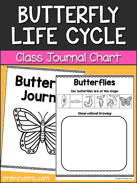 Butterfly Life Cycle Chart