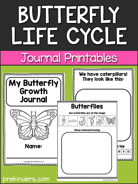 Butterfly Life Cycle Journal Printables
