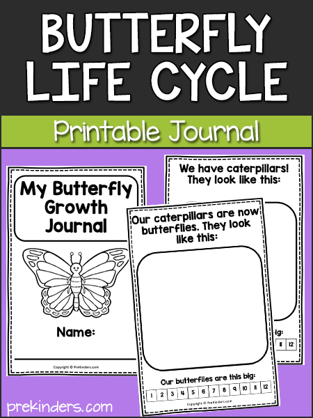 Butterfly Life Cycle Journal