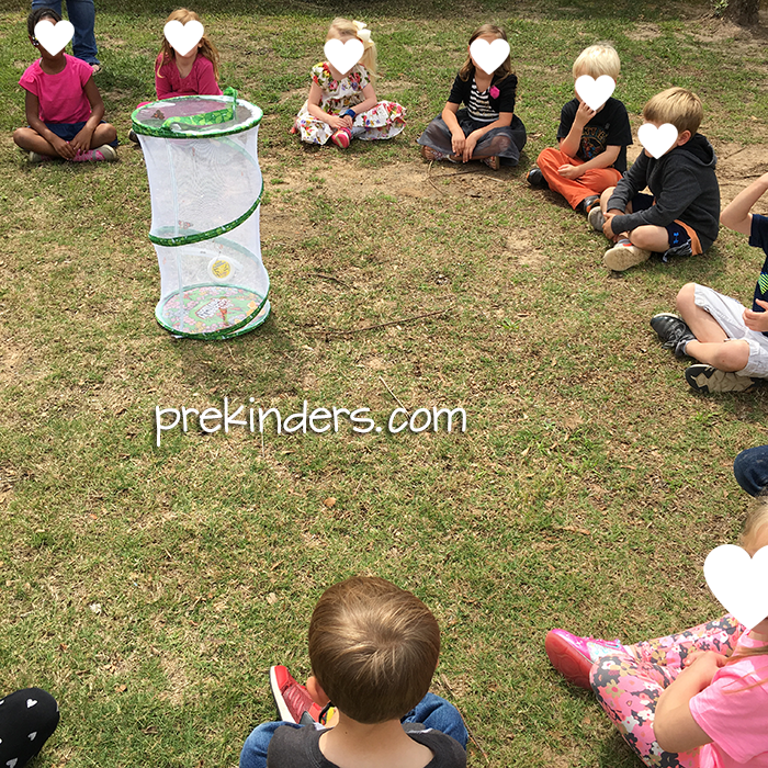 Butterfly Release