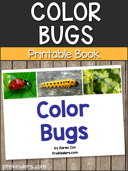 Color Bugs Book