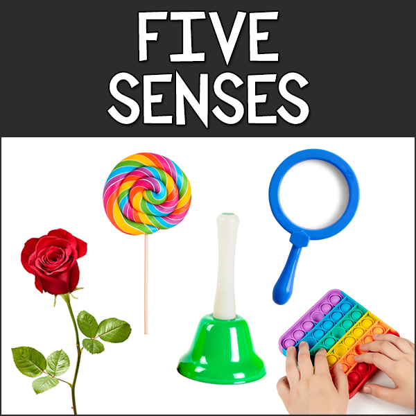Preschool Five Senses Activities