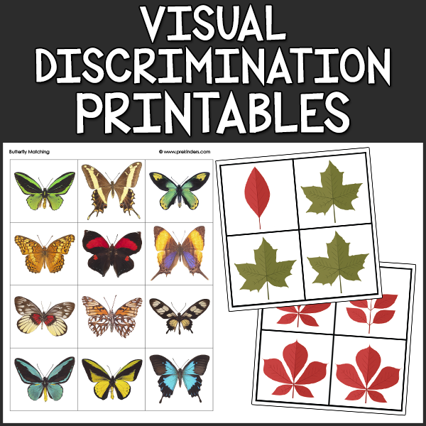 Visual Discrimination Printables