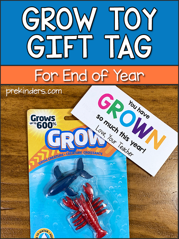End of Year Student Gift Tags