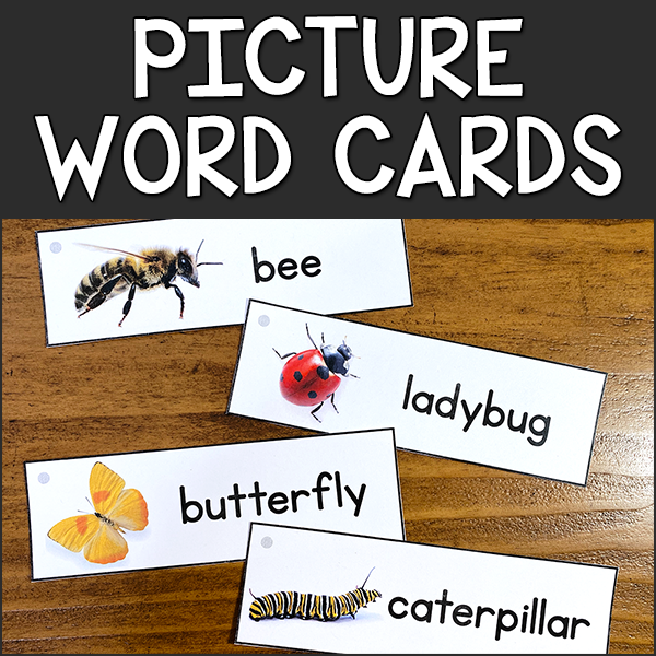 Picture-Word Cards to Print