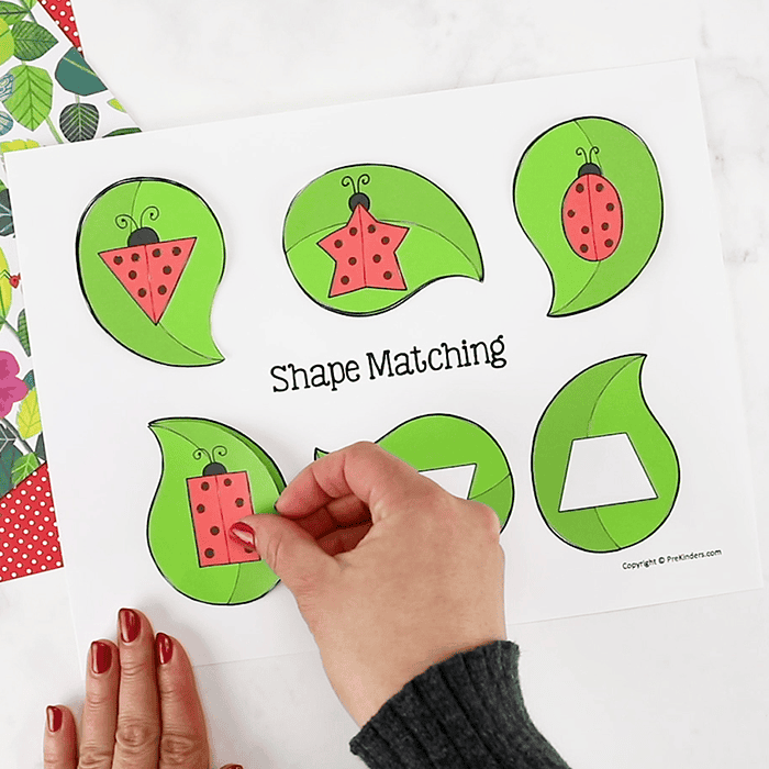 ladybug shapes math printable